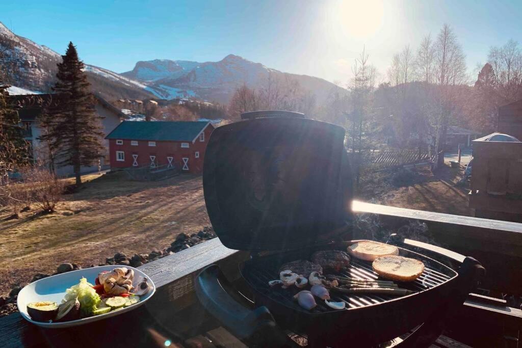 Super Sentral, Flott Og Solrik I Sentrum
